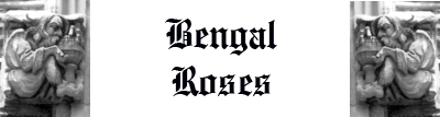 Bengal Roses